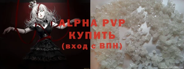 прущие грибы Надым