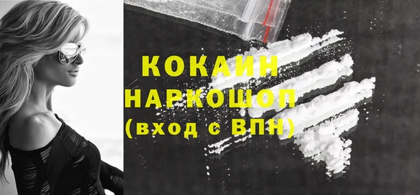 ешки Алексин