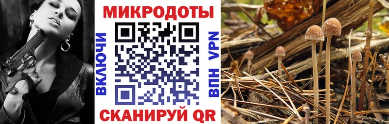купить наркотики сайты  Оханск  Галлюциногенные грибы Psilocybe 